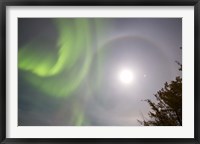 Framed Aurora borealis, Full Moon, Halo and Venus by Lake Laberge, Yukon, Canada