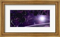 Framed Asteroid field against a Celestial Background