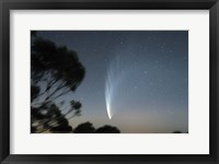 Framed Comet McNaught P1