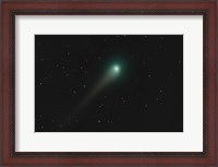 Framed Comet Holmes