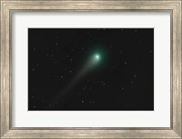 Framed Comet Holmes