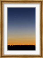 Framed Comet Panstarrs at twilight,  Buenos Aires, Argentina