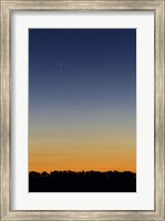 Framed Comet Panstarrs at twilight,  Buenos Aires, Argentina