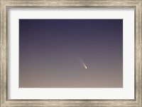 Framed Comet Panstarrs II