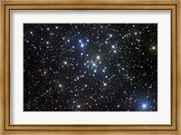 Framed M41, a bright open star cluster located in the Constellation Canis Major