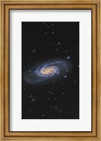 Framed NGC 2903 is a barred spiral galaxy in the Constellation of Leo