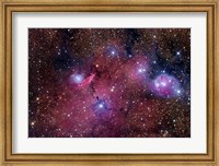 Framed NGC 6559 is a rich colorful tapestry of diverse nebulosity in the Constellation Sagittarius
