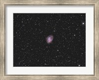 Framed Crab Nebula, a supernova remnant in the Constellation of Taurus