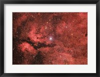 Framed Sadr region in the Constellation Cygnus