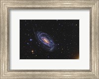Framed NGC 5033, a spiral galaxy situated in the Constellation of Canes Venatici