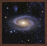 Framed Messier 81, or Bode's Galaxy, is a spiral galaxy located in the Constellation Ursa Major