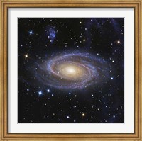 Framed Messier 81, or Bode's Galaxy, is a spiral galaxy located in the Constellation Ursa Major