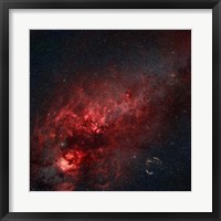 Framed Constellation Cygnus with multiple nebulae visible