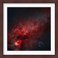 Framed Constellation Cygnus with multiple nebulae visible