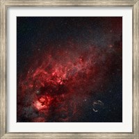 Framed Constellation Cygnus with multiple nebulae visible