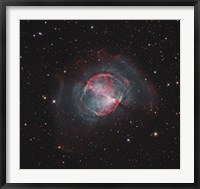 Framed Dumbbell Nebula I