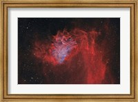 Framed Flaming Star Nebula II