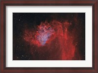 Framed Flaming Star Nebula II