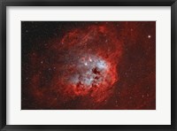 Framed Tadpole Nebula II