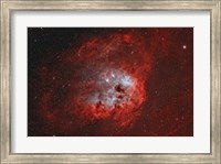 Framed Tadpole Nebula II