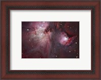 Framed view of the Trapezium region, which lies in the heart of the Orion Nebula