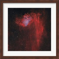 Framed Flaming Star Nebula I