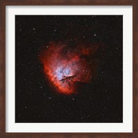 Framed NGC 281, the Pacman Nebula I
