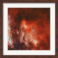 Framed Pelican Nebula II