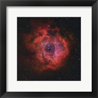 Framed Rosette Nebula III