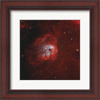 Framed Tadpole Nebula I