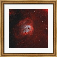 Framed Tadpole Nebula I