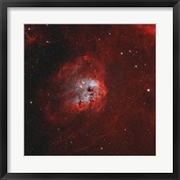 Framed Tadpole Nebula I