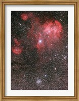 Framed Bat Nebula (IC 2948) and open star cluster NGC 3766, the Pearl Cluster