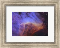 Framed Pelican Nebula I