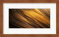 Framed Golden Sands