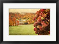 Framed Autumn Colors