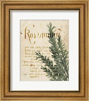 Framed Herb Study IV