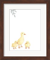 Framed Baby Animals III