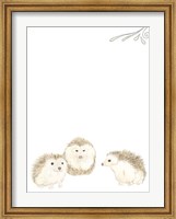 Framed Baby Animals IV