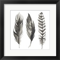 Watercolor Feathers I Framed Print