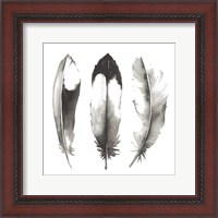 Framed Watercolor Feathers II