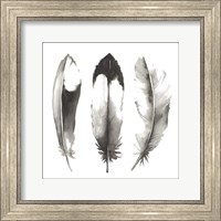 Framed Watercolor Feathers II
