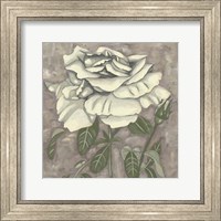 Framed Silver Rose I