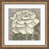 Framed Silver Rose II