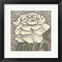 Silver Rose II Framed Print
