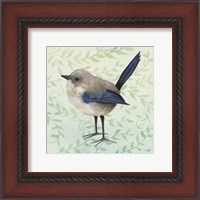 Framed Little Bird III