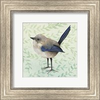 Framed Little Bird III