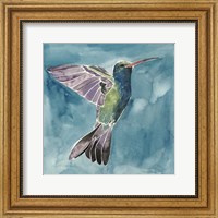 Framed Watercolor Hummingbird I