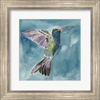 Framed Watercolor Hummingbird I