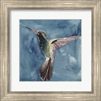 Framed Watercolor Hummingbird II